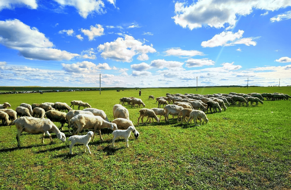 樂林丨讓每個人，樂享品質涮烤生活